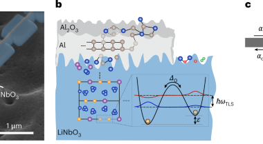 Intrinsic phononic dressed states in a nanomechanical system