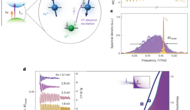 Photoengineering the magnon spectrum in an insulating antiferromagnet