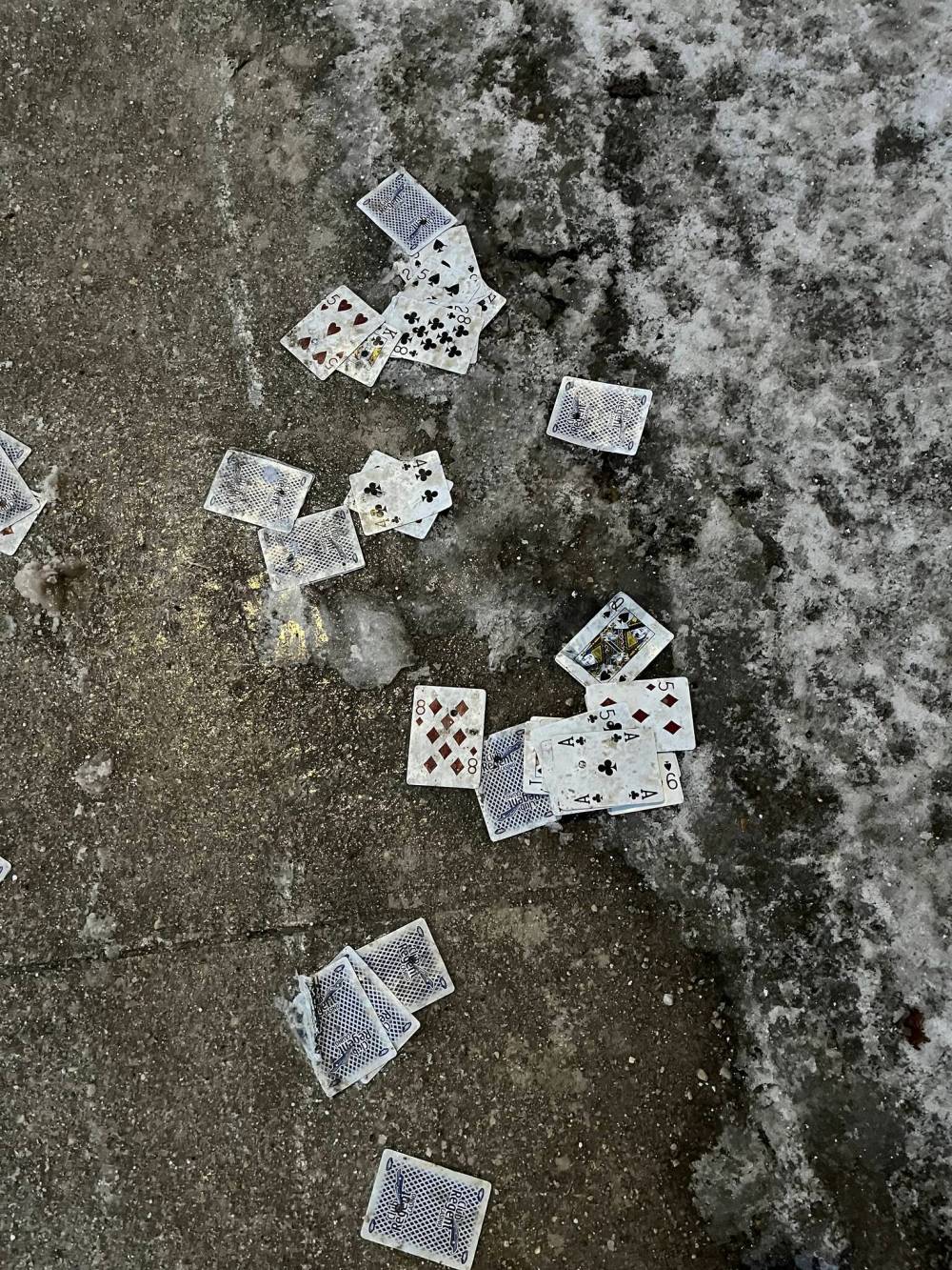 Russell Wangersky/Free Press
A deck of discarded playing cards near College Avenue