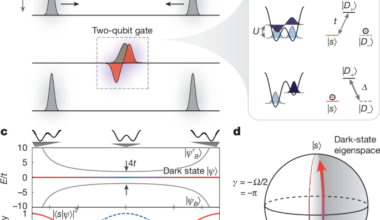 Protected quantum gates using qubit doublons in dynamical optical lattices