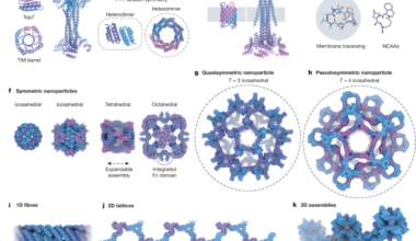 The past, present and future of de novo protein design