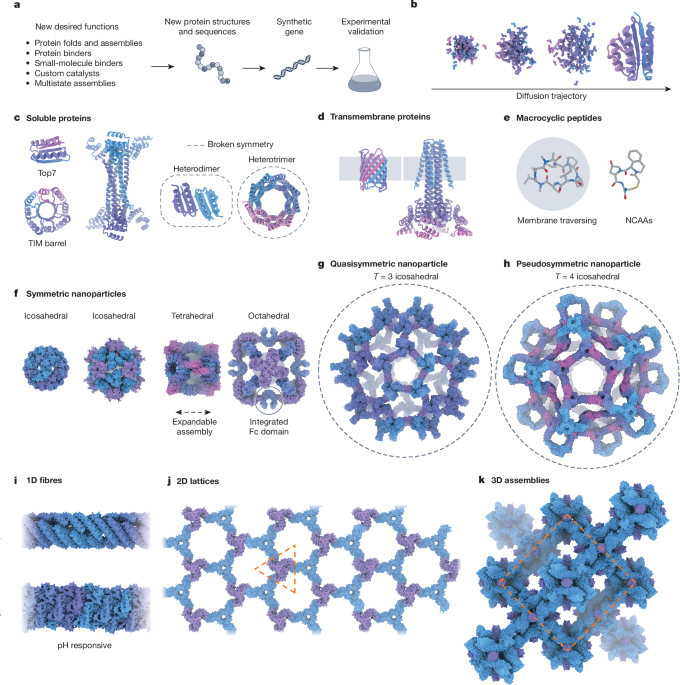 The past, present and future of de novo protein design