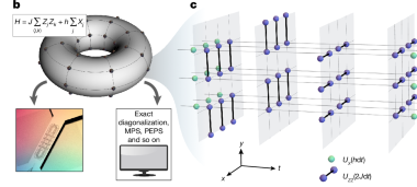 Digital quantum magnetism on a trapped-ion quantum computer