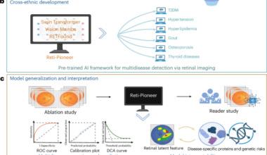 AI framework for multidisease detection via retinal imaging