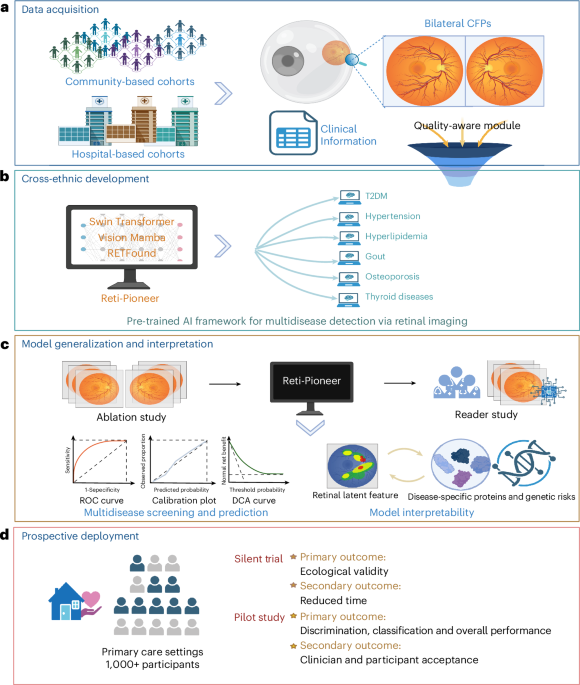 AI framework for multidisease detection via retinal imaging