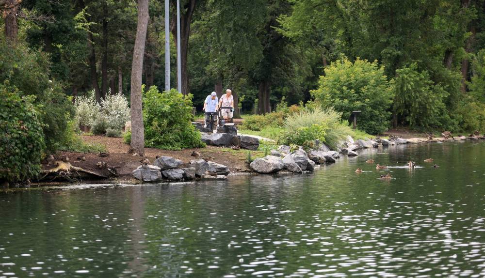 Ruth Bonneville / Free Press Files
The St. Vital Park duck pond is set to get an update, with a new design scheduled to be completed this year and construction expected in 2027.