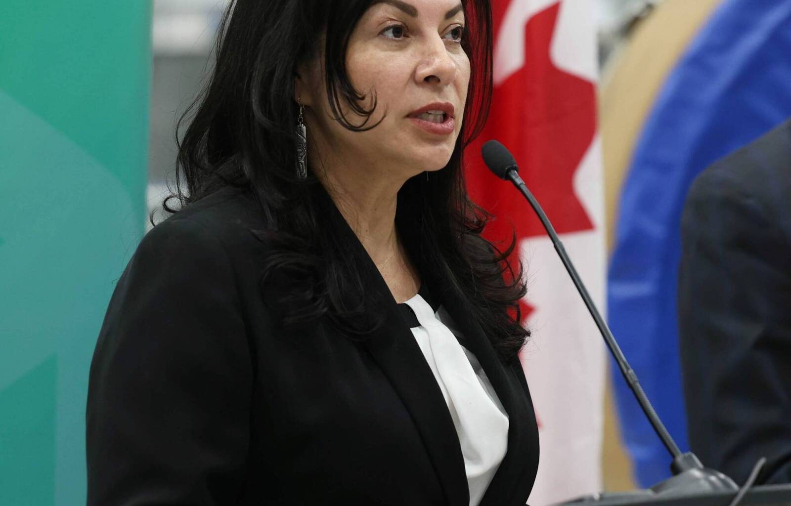 Ottawa tabs $19.5M for defence-sector firms – Winnipeg Free Press