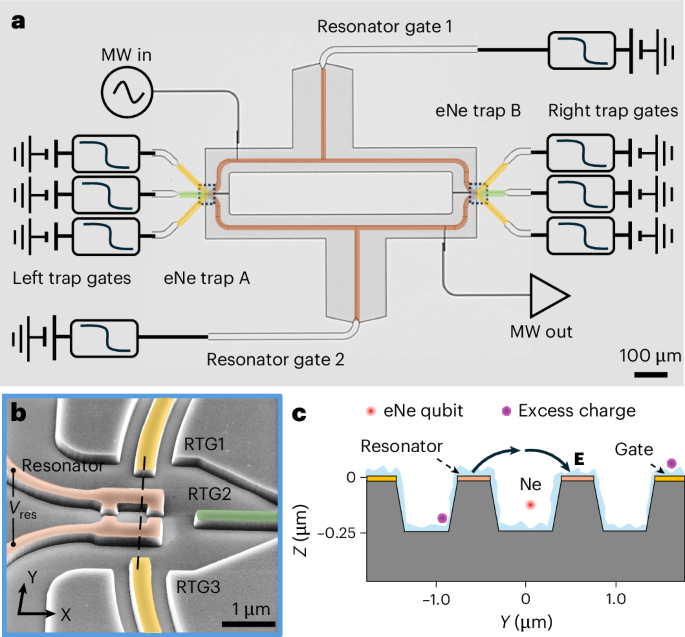 Solid neon as a noise-resilient host for electron qubits above 100 mK