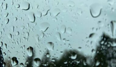 Canada&rsquo;s Hello Weather phone service was valuable, this reader says. (Anna Burns/Surrey Now-Leader files)