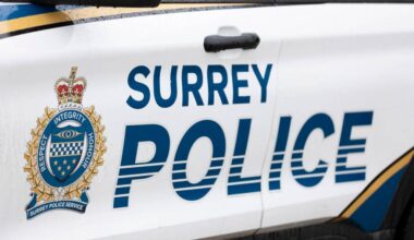 Surrey Police Service is asking witnesses to a serious pedestrian hit-and-run to come forward. (Anna Burns file photo)