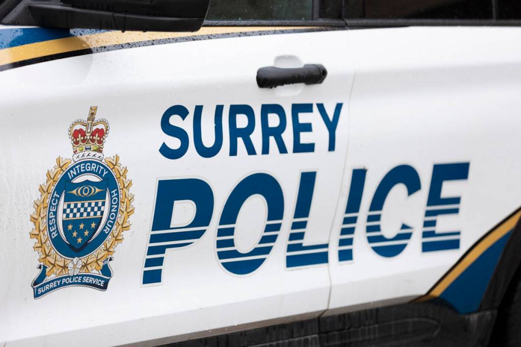 Surrey Police Service is asking witnesses to a serious pedestrian hit-and-run to come forward. (Anna Burns file photo)