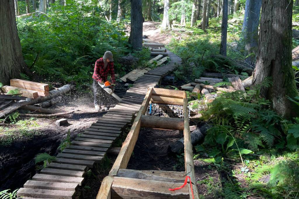 Work in the last year by the Revelstoke Cycling Association to widen bike trails around Mount MacPherson for increased rider accessibility. (Photo courtesy Revelstoke Association Cycling)