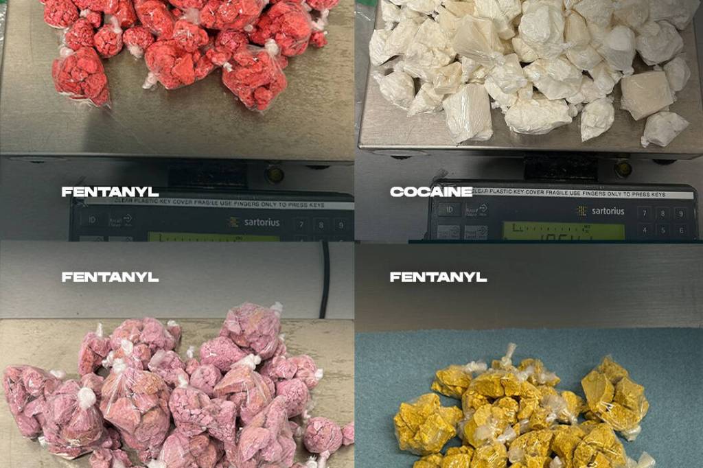 Officers with the Combined Forces Special Enforcement Unit of B.C.’s Uniform Gang Enforcement Team found 3.5 kilograms of fentanyl, cocaine and methamphetamine – packaged in bulk and vacuum-sealed bags during a proactive stop near 148 Street and 88 Avenue on March 24. (Contributed to Peace Arch News)
