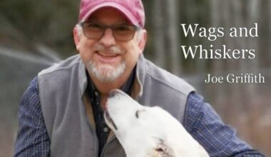 Wags and Whiskers - Joe Griffith
