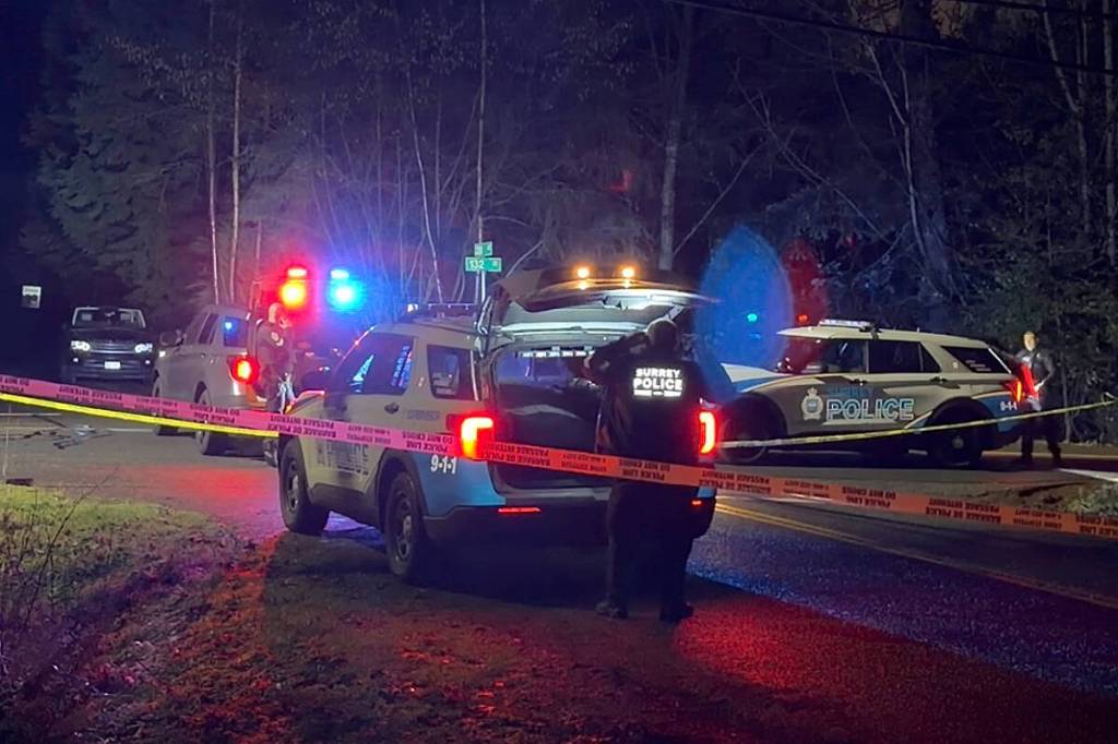 The three men arrested after a shots-fired incident and small fire in a Crescent Park-area neighbourhood in South Surrey Feb. 1 will return to Surrey Provincial Court via video Monday, April 20 for disposition. (1st Due Media/ Contributed to Peace Arch News)