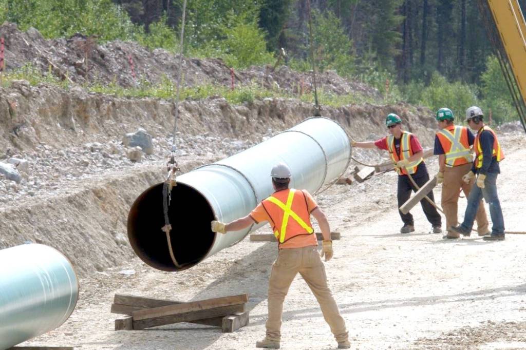 A section of the Trans Mountain pipeline expansion being installed near Jasper. This pipeline extends from Alberta across a southern route to an export terminal in Vancouver. (Photo courtesy Kinder Morgan Canada)