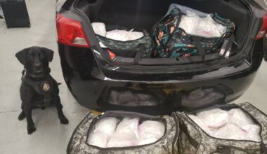 A Burnaby woman caught trying to bring 100 kg of methamphetamine – sniffed out by a CBSA detector dog – through the Pacific Highway border in South Surrey in 2026 has been sentenced to 5.5 years in prison. (Contributed file photo)