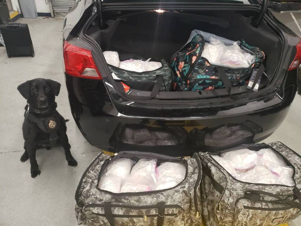 A Burnaby woman caught trying to bring 100 kg of methamphetamine – sniffed out by a CBSA detector dog – through the Pacific Highway border in South Surrey in 2026 has been sentenced to 5.5 years in prison. (Contributed file photo)