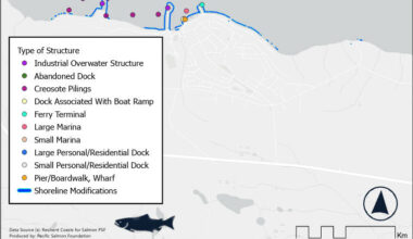 The PSF reported that in Port McNeill there were 14 overwater structures, including six individual or groupings of creosote pilings and three industrial structures. (Pacific Salmon Foundation/Contributor)