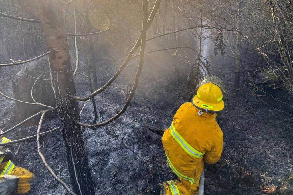 Sts&rsquo;ailes firefighters made quick work of a spreading wildfire in the Harrison Mills area this past weekend. (Sts&rsquo;ailes Fire Department)