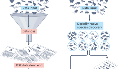 Digitally native species are a necessary shift in taxonomic practice