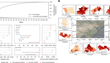 Mobile phone data show spatial and socioeconomic inequalities in hospital utilization