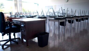 B.C. teacher suspended for ‘fraudulently’ using sick days for Japan vacation: regulator - CTV News