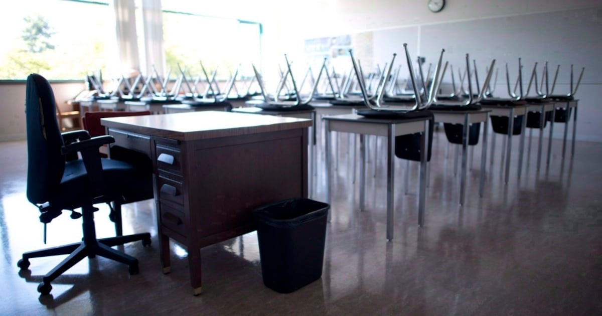 B.C. teacher suspended for ‘fraudulently’ using sick days for Japan vacation: regulator - CTV News