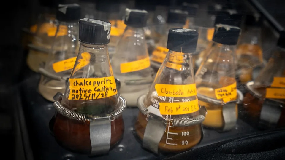 Scientists grow the bacteria used in the bioleaching process in this incubator. 