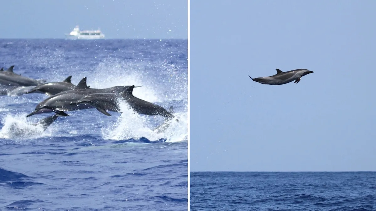 Yahoo lifestyle home