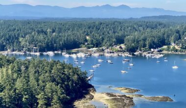 A look at Gabriola local governments AI technology policies