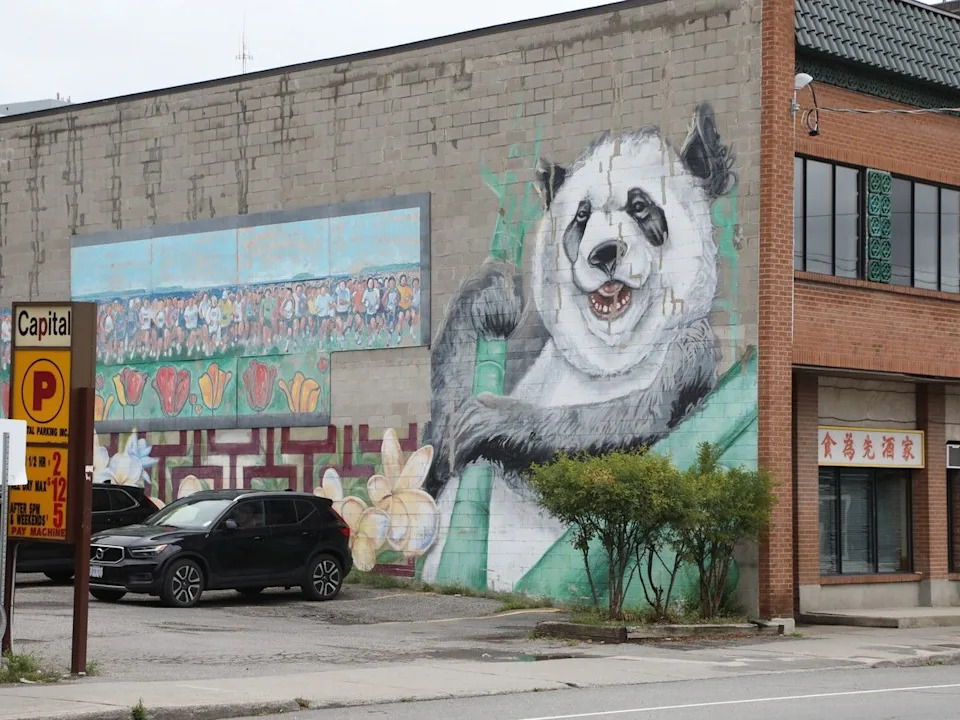 A mural is painted on the side of a building in Ottawa’s Chinatown in this file photo.