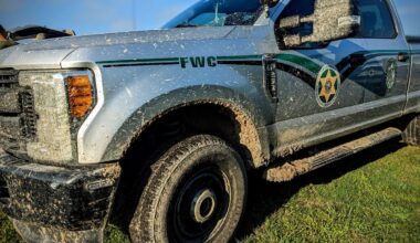 Wildlife Conservation Police Are Searching Thousands of Flock Cameras for ICE