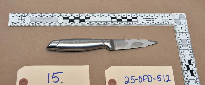 Police say this knife was recovered at the scene.