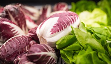 Plant-rich diets linked to lower risk of Alzheimer’s, but quality matters