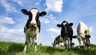 Farming groups applaud private member's bill aimed at speeding up product approvals