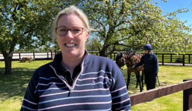 Vaccination plea amid rising equine flu cases