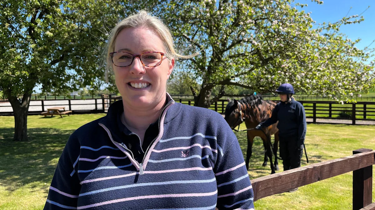 Vaccination plea amid rising equine flu cases