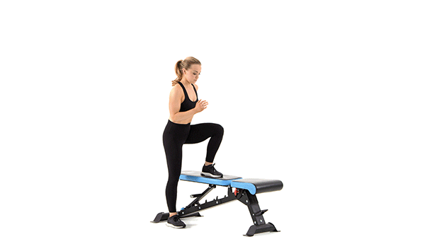 lateral-step-ups-ps-1 alice lateral-step-ups-ps-1 alice