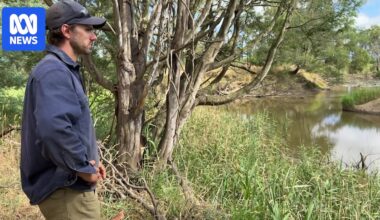 Gippsland farmers angered by plans to turn Hazelwood coal mine into huge lake
