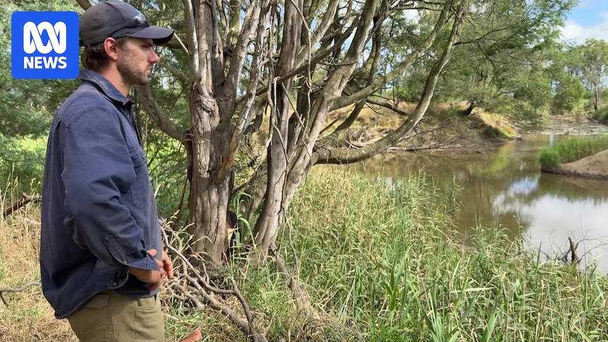 Gippsland farmers angered by plans to turn Hazelwood coal mine into huge lake