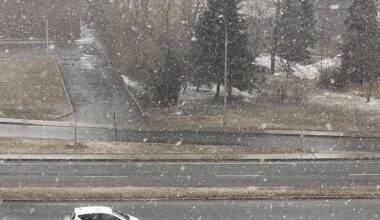 Has spring finally sprung in Montreal? | Suburban Weather