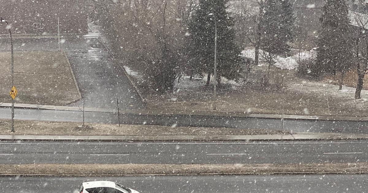 Has spring finally sprung in Montreal? | Suburban Weather