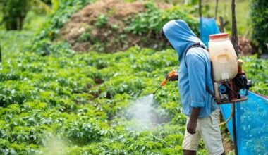 Pesticides on produce may play role in lung cancer in non-smokers | Health