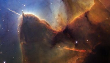 Hubble Space Telescope celebrates 36th birthday with space ‘sea slug’ - OC Today-Dispatch