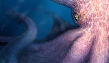 ‘Kraken-like’ giant octopuses ruled oceans 100 million years ago - OC Today-Dispatch