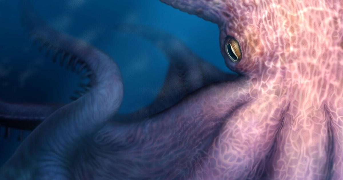 ‘Kraken-like’ giant octopuses ruled oceans 100 million years ago - OC Today-Dispatch
