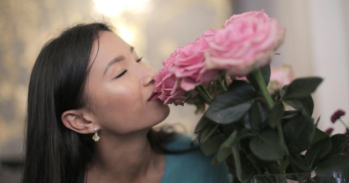 Scientists develop first-ever ‘smell map’ of receptors in noses | Health
