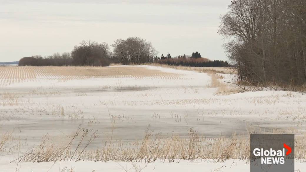 Click to play video: 'April snow heading to Alberta'