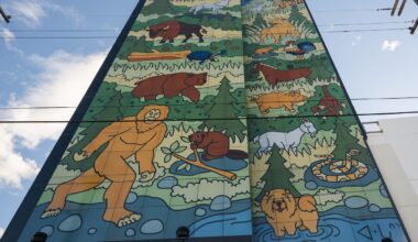 Edmonton tower holds world record for largest solar panel art